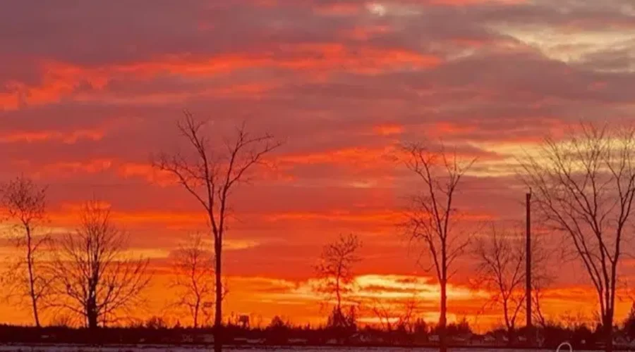 Warm Colours In A Winter Sky