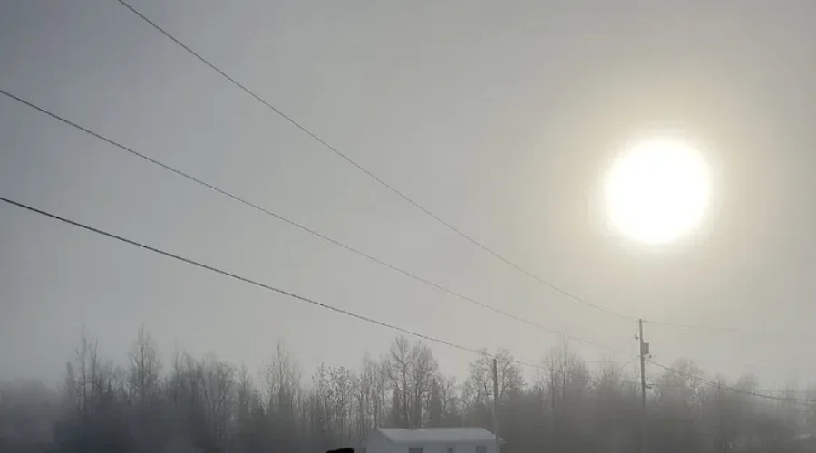 Foggy Morning In Lac La Croix