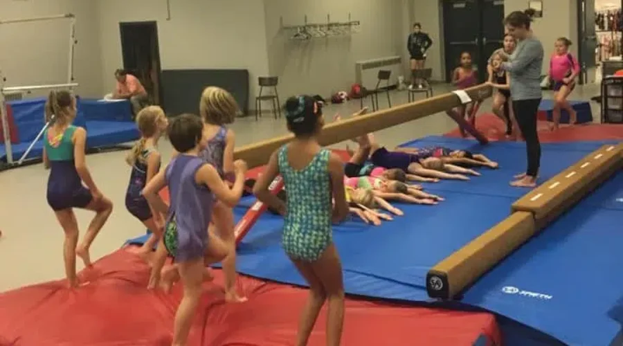 Gymnastics Academy Finds Coaches