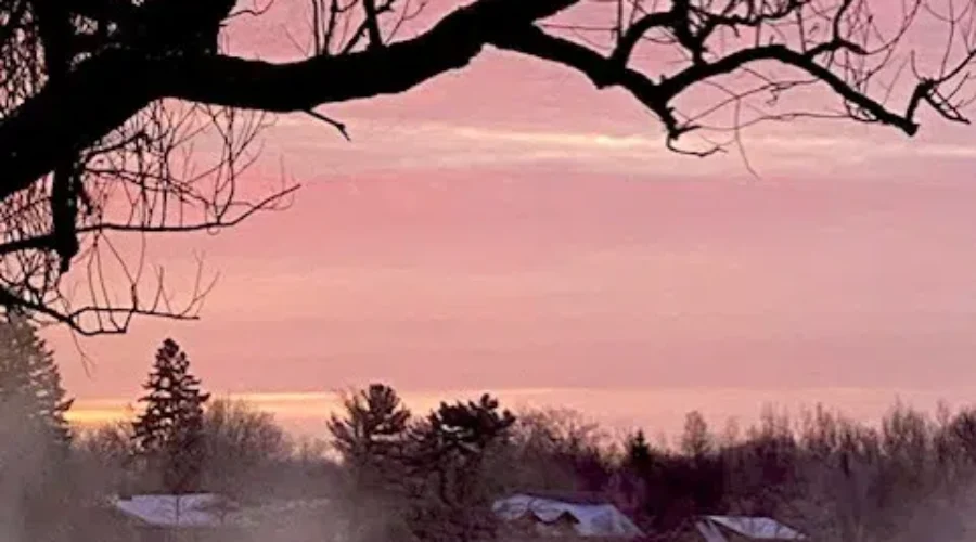 A Frosty Morning In The Fort