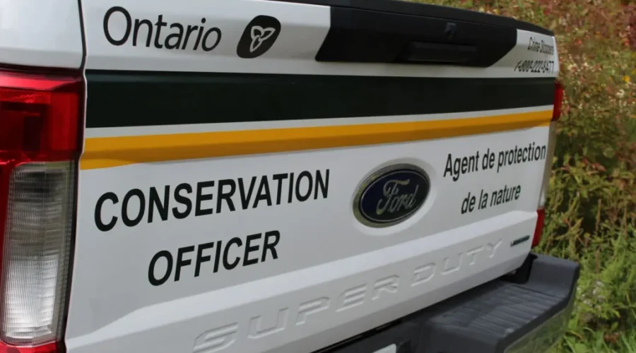 Two southern Ontario men face fines for illegal moose hunt