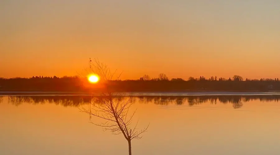 The Dawning Of Spring