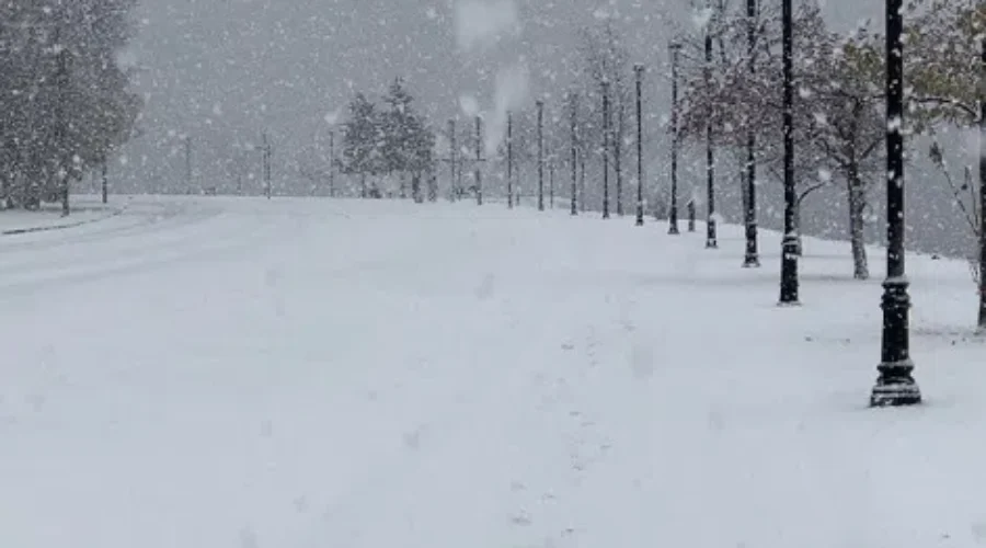 Early Morning Walk, Fresh Snowfall, Serene