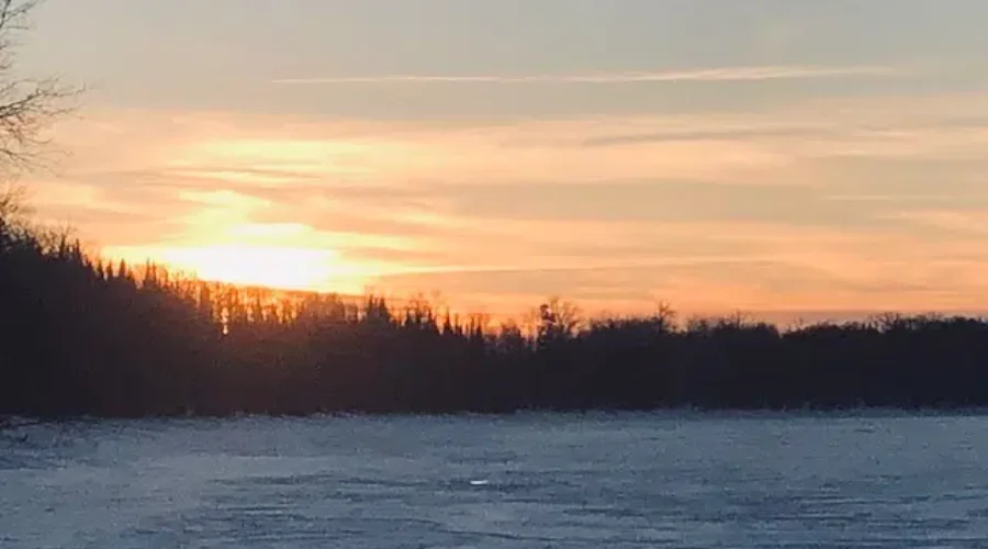 Electrifying Sky And Trees