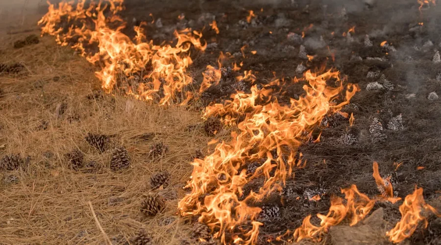 Ban On Burning Lifted In Some Communities