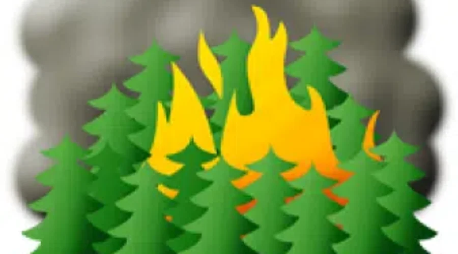 Be Cautious And Be Prepared This Forest Fire Season
