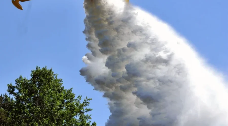 Five New Forest Fires In NWO