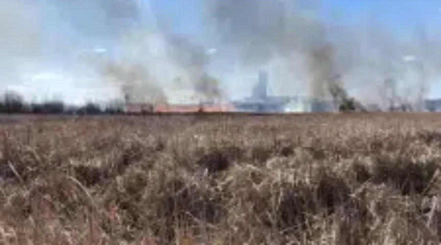 Forest Fire Hazard High To Extreme This Week