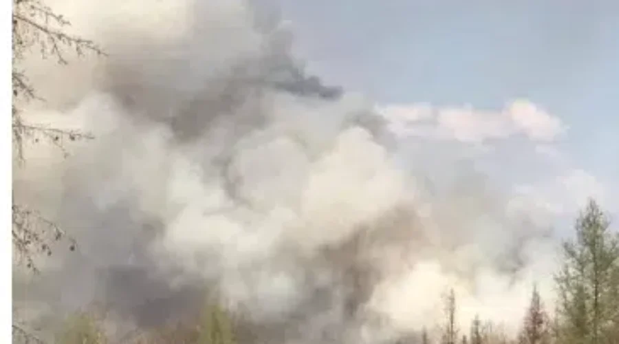 Rain Keeping Forest Fires At Bay