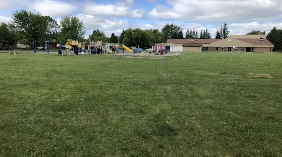 Tribunal Issues Interim Report