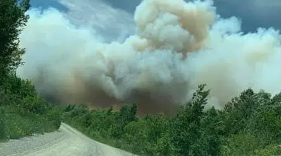 Implementation Order Placed Around Forest Fire Area