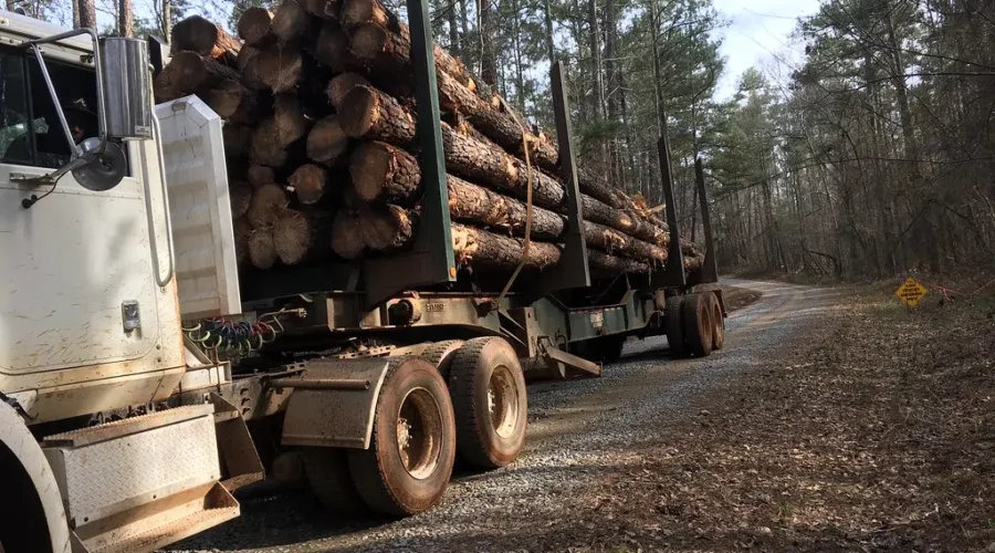 Wood Rights Explained