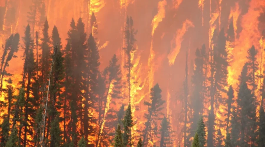 Discussing The Fire Situation