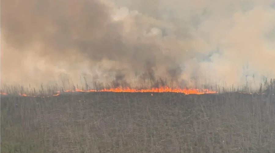 Several New Fires in District