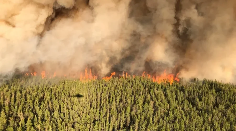 Wildfire Season Comes To A Close
