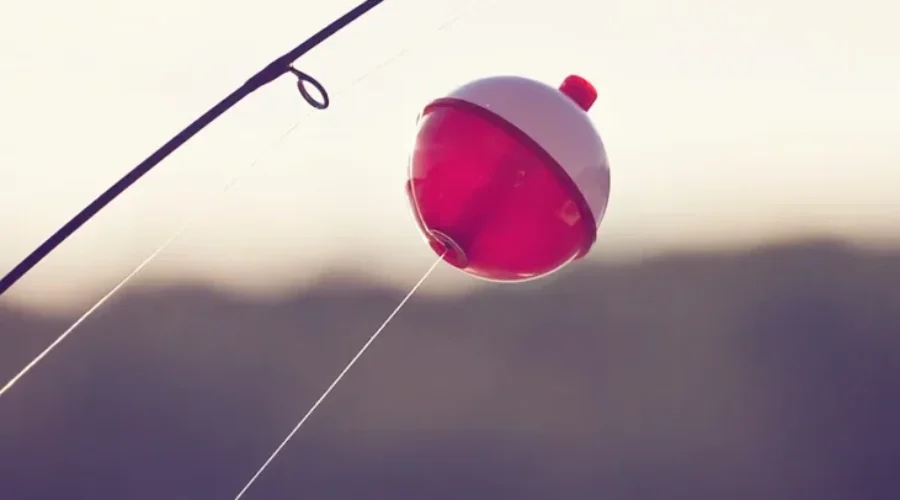 Sunset Water Sports Helped By Lions