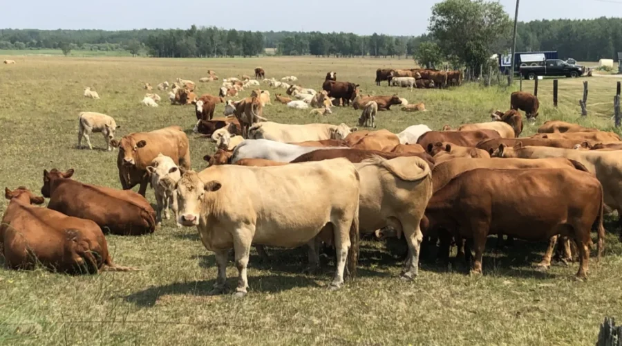 Applications For Financial Aid Now Accepted