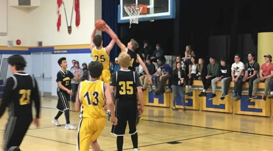 Student Athletes Can Now Compete In Basketball/Hockey