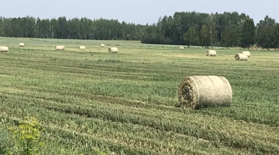 Ontario Adds To Joint Provincial-Federal Assistance Program