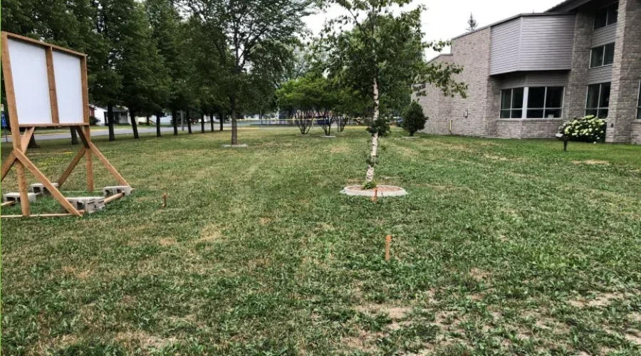 Library Looking To Green Up Facility