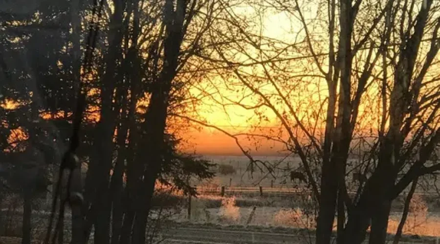 Brisk Morning Out In The Country