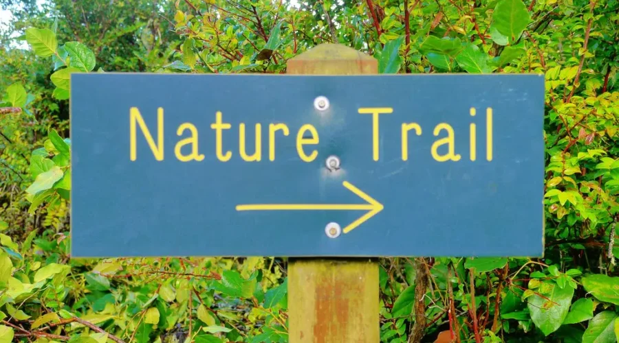 Nature Helping Canadians During the Pandemic