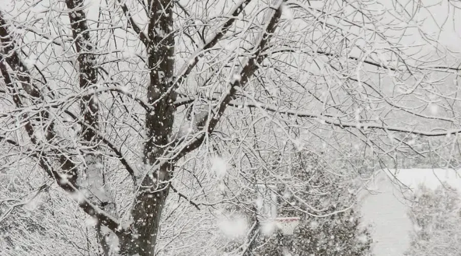 Plenty of More Snow Expected