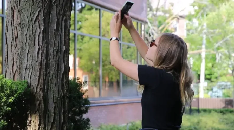 Join In The Backyard Bio Blitz For Nature!