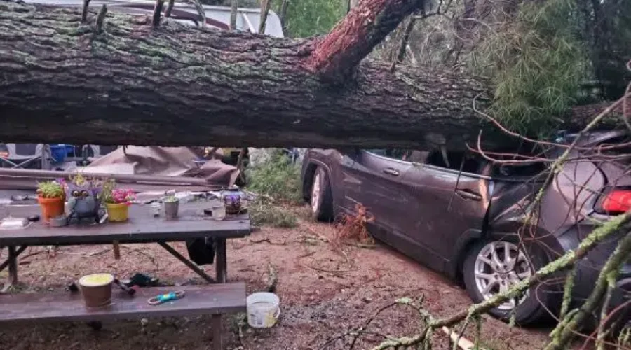 Major Storm Hits Nestor Falls.