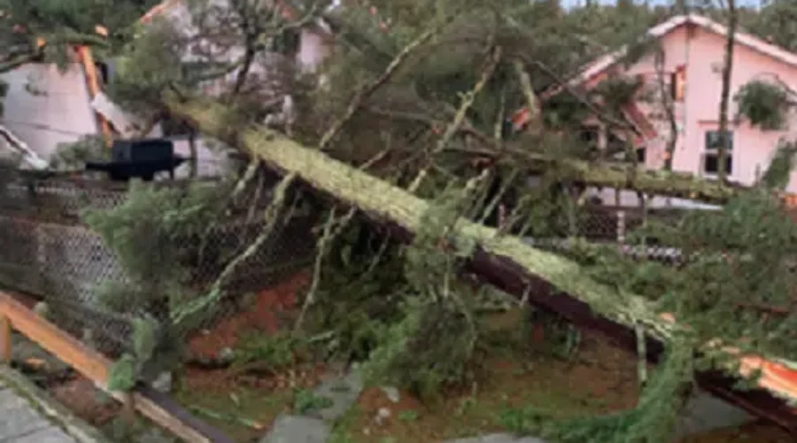 Aftermath Of A Storm In Nestor Falls – July 2022