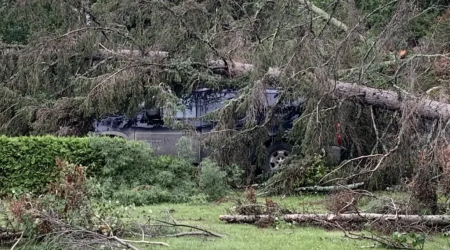 MPP Responds to Nestor Falls Storm Damage