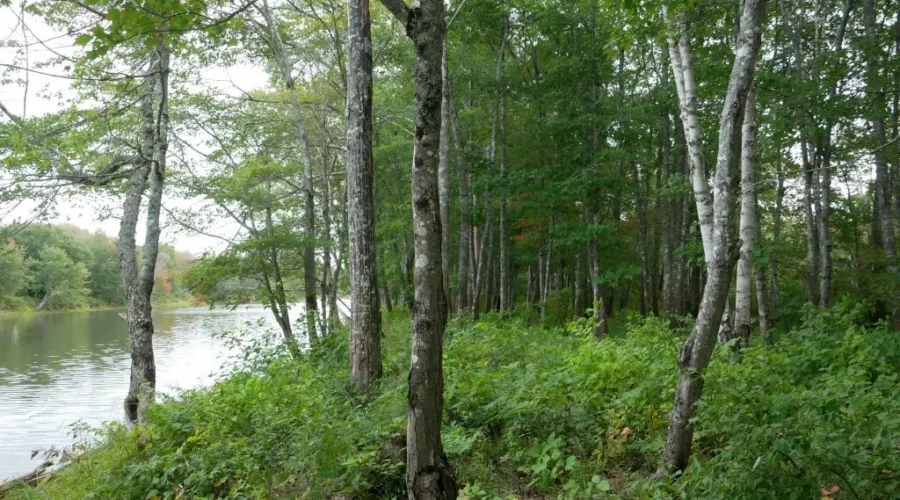 Protecting 25% Of Federal Land By 2025 Not On Pace: NCC