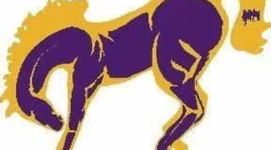 Broncos Volleyball Teams In Weekend Action