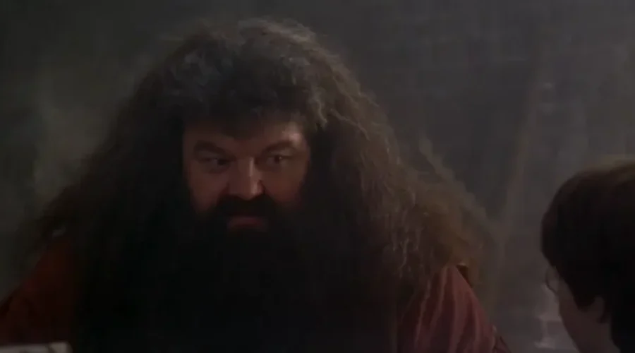 Actor Robbie Coltrane, Harry Potter’s Hagrid, has passed away