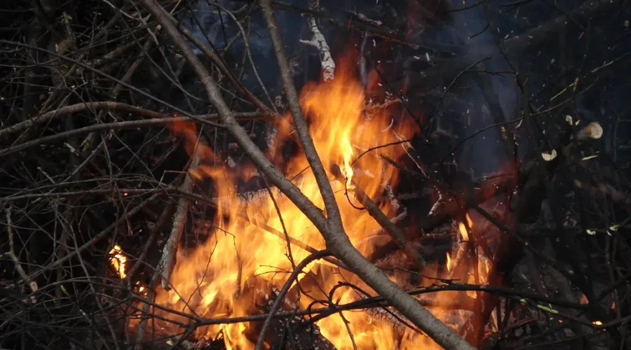 Burning Restrictions Imposed in Minnesota