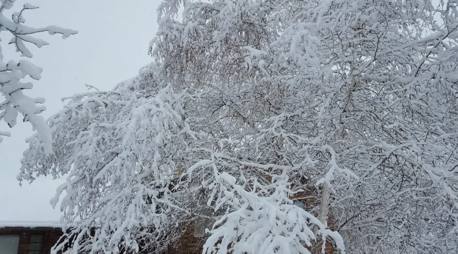 Extreme Cold Warning Issued
