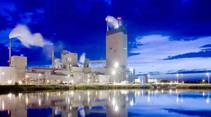 Regional Forestry Deal Provides Major Financial Improvements