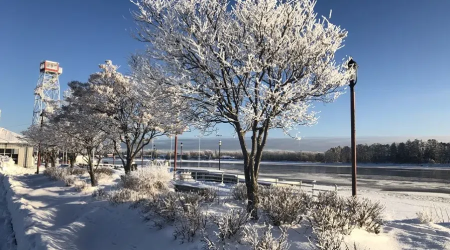 Winter Trees By The Lookout Tower