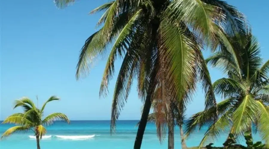 Be mindful of travel-related illnesses