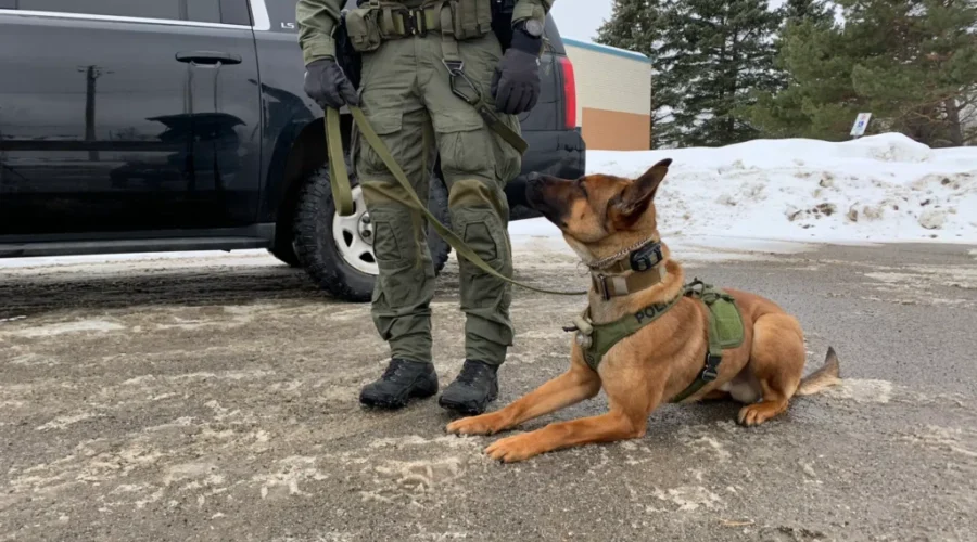New K9 Team Come To OPP Thunder Bay
