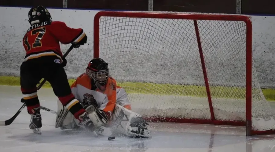 Goalie In Championship Form