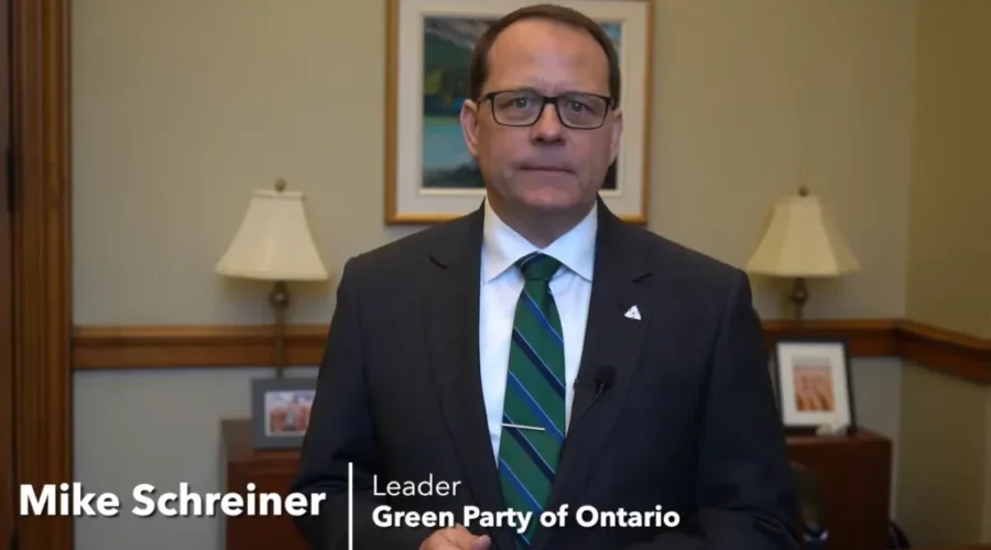 Schreiner Staying On As Green Party Leader