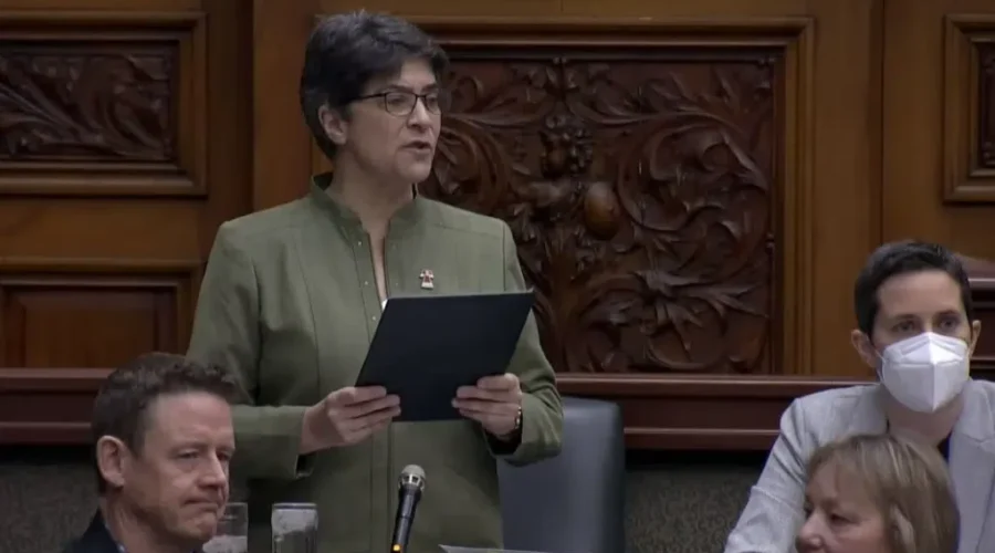 Vaugeois says budget doesn’t go far enough