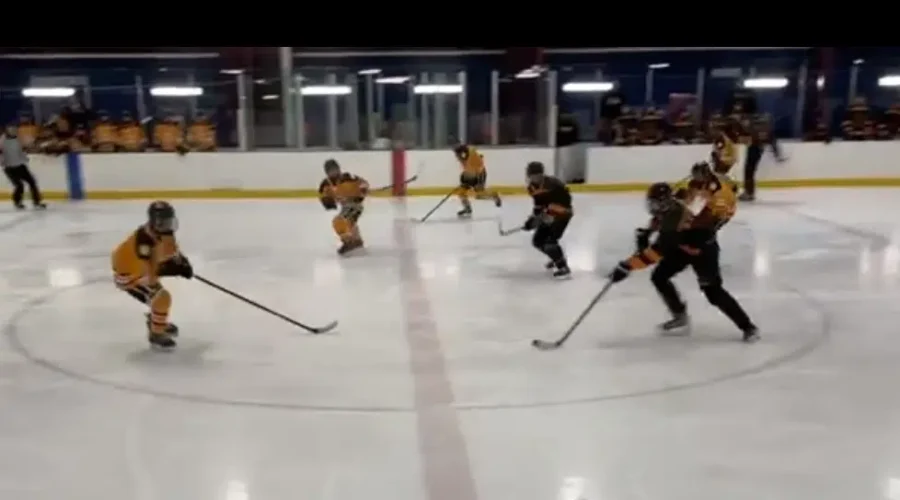 H.S. hockey teams vie for playoff spots