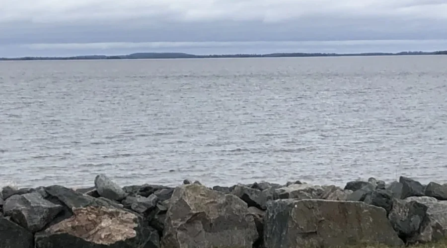 NDP seeks provincial water strategy