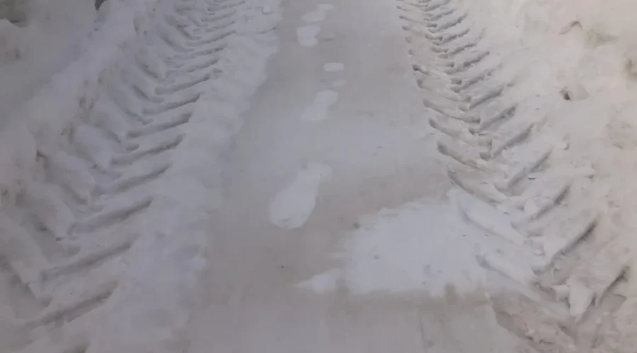 Brown snow explained