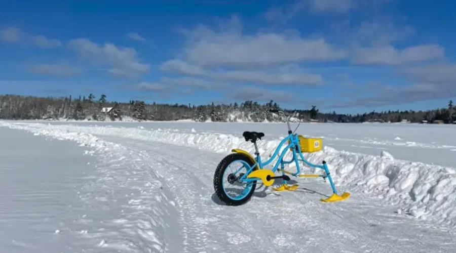 NWO Pitch It winners announced