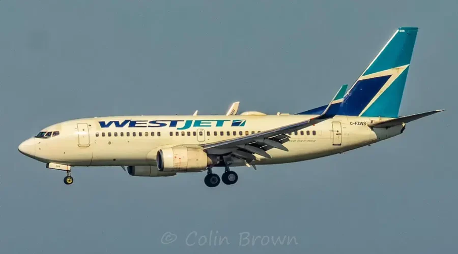 WestJet to shut down low cost alternative Swoop