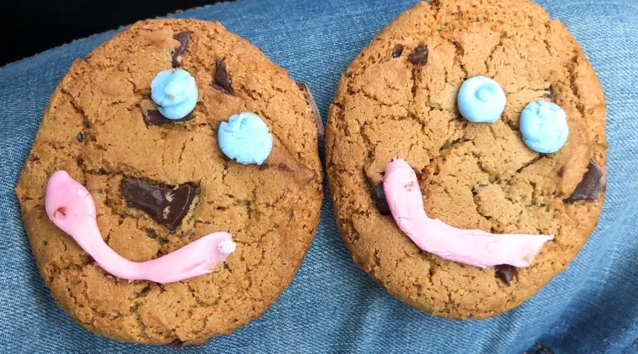 Record Smile Cookie sales in 2023