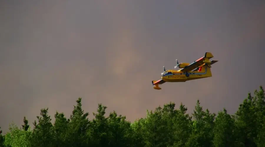 Fire near Wabaseemoong declared out